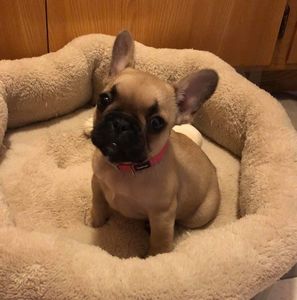 Meet your Posher, Hung